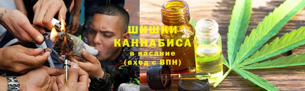 спайс Покачи