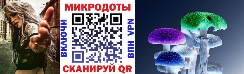 Псилоцибиновые грибы Cubensis blacksprut ССЫЛКА Пучеж закладки